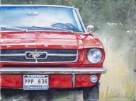 Mustang 64 12
